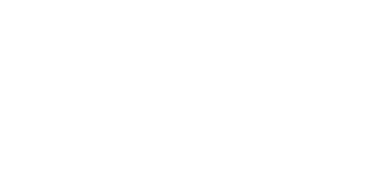 Hotel Himalaya Logo